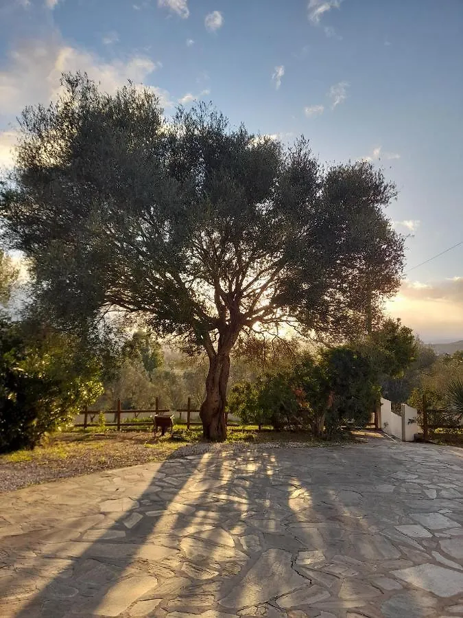 Agriturismo Palas De Serra Country Resort Onifai Farma