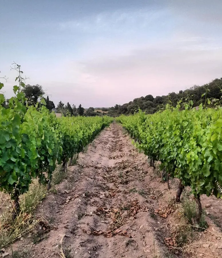 Agriturismo Palas De Serra Country Resort Onifai イタリア