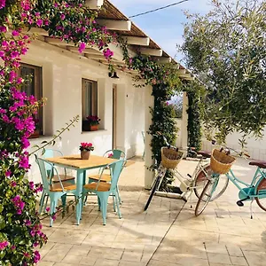Domus Deiana Apartment