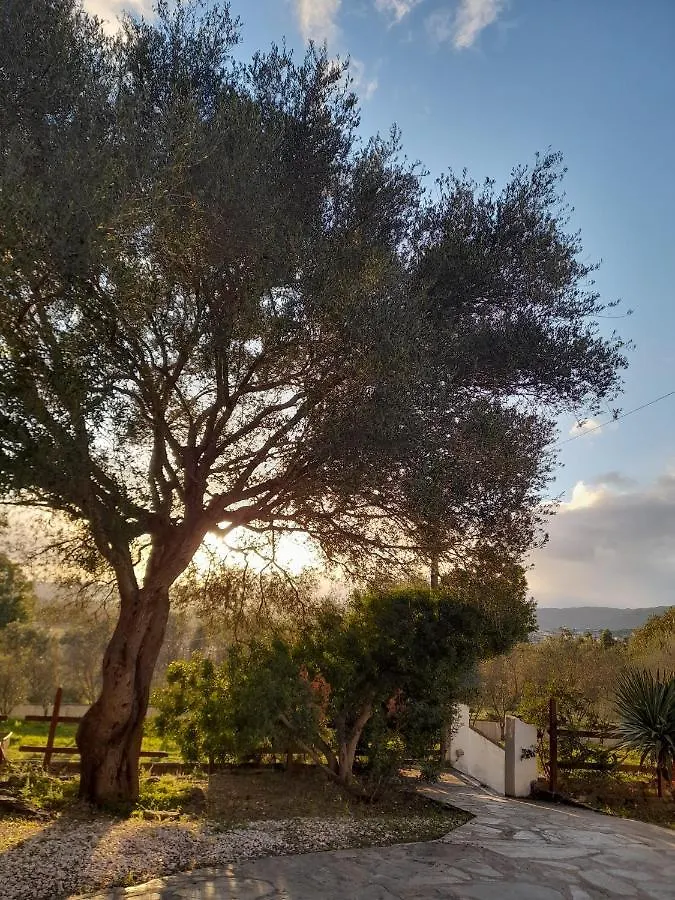 Agriturismo Palas De Serra Country Resort Onifai