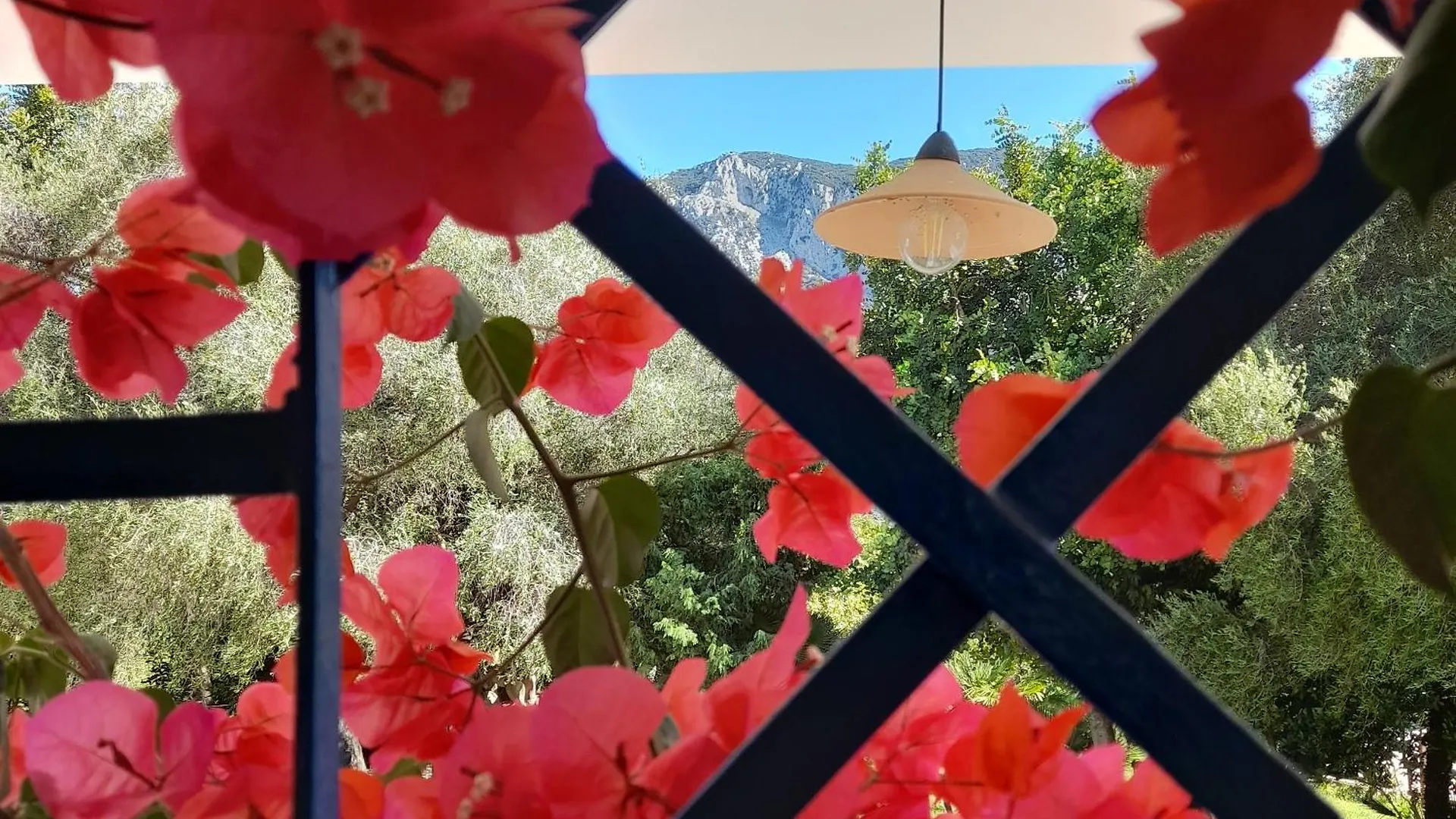 Agriturismo Palas De Serra Country Resort Onifai